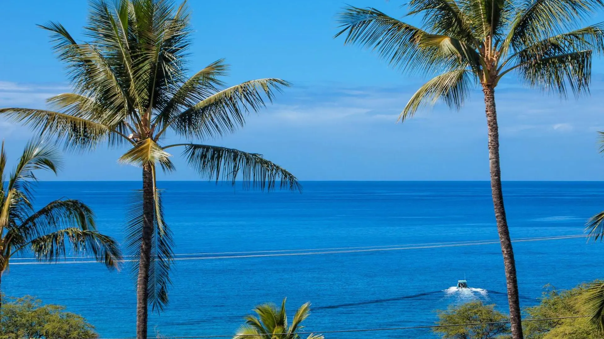Maui Kamaole D211 - Mch Villa Kihei 0*,  United States