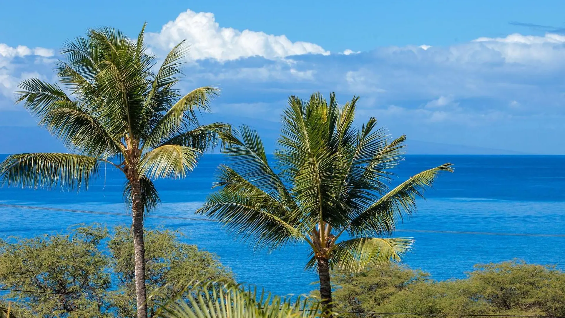 Maui Kamaole D211 - Mch Villa Kihei Holiday home